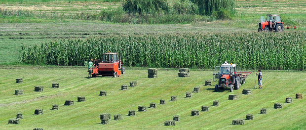 НЕИСКОРИШЋЕНА ЕНЕРГИЈА: Слама мења гас и струју